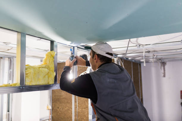 Best Garage Insulation Installation  in Alamogordo, NM