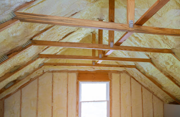 Best Attic Insulation Installation  in Alamogordo, NM
