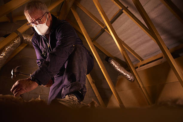 Best Fiberglass Insulation  in Alamogordo, NM