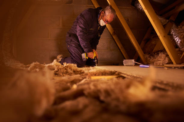 Best Spray Foam Insulation  in Alamogordo, NM